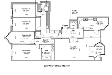 Appartement rénové traversant traversant de 6.5 pièces