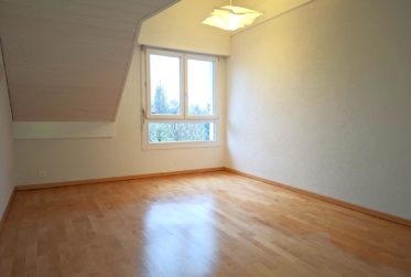 Bel appartement en duplex de 6 pièces dans un cadre exceptionnel